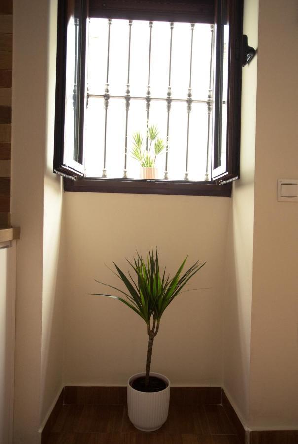 Setenil De Las Bodegas Apartamento Entrecaminos מראה חיצוני תמונה